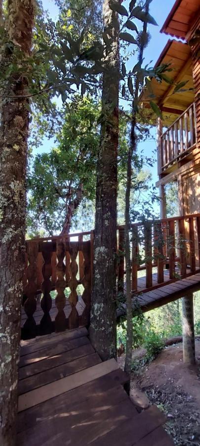 Cabana En El Bosque De San Jose DЭль-Пасифико Экстерьер фото